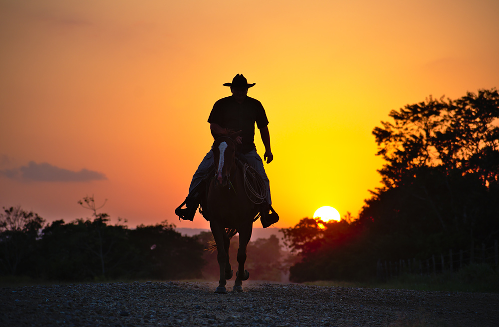 I always thought you were meant to ride off into the sunset, not away from it. It must be a sunrise.