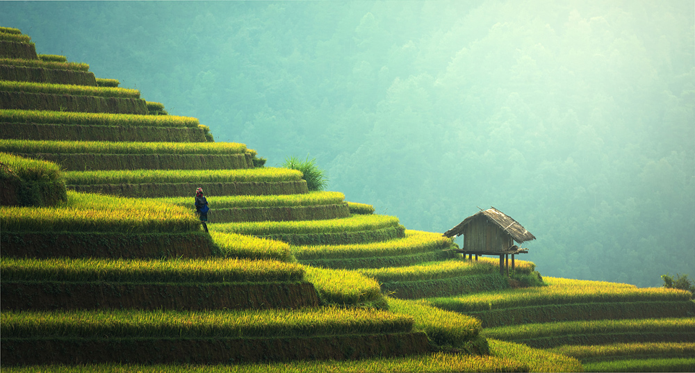 Looking at beautiful images of low-tech food production can help to offset the effects of our constant bombardment with beautiful images of modern high-tech life. Looking at beautiful images of low-tech food production can help to offset the effects of our constant bombardment with beautiful images of modern high-tech life.